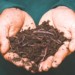 Vermicompost
