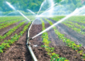 Micro Irrigation
