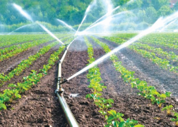 Micro Irrigation
