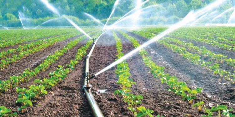 Micro Irrigation