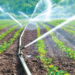 Micro Irrigation