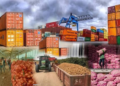 Indian Food Export