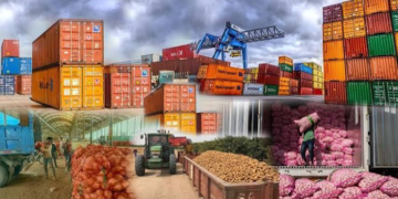 Indian Food Export