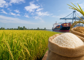 Indian Rice Export Crisis 2026