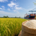 Indian Rice Export Crisis 2026