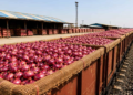 Kanda Express Onion Price