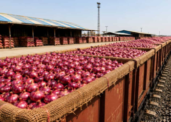 Kanda Express Onion Price
