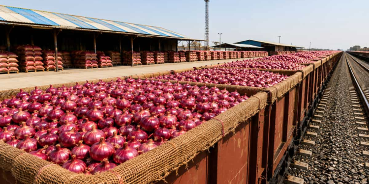 Kanda Express Onion Price