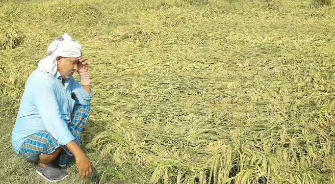 Mukhyamantri Krishak Durghatna Kalyan Yojana