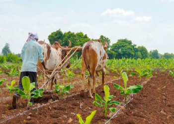 Natural & Organic Farming