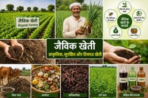 Organic Farming