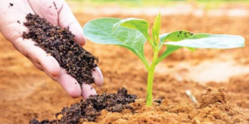 Organic Farming क्या है? किसानों के लिए जैविक खेती की पूरी जानकारी