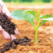 Organic Farming क्या है? किसानों के लिए जैविक खेती की पूरी जानकारी