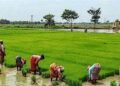 जलवायु परिवर्तन के दौर में क्यों महत्वपूर्ण है पीडीएमसी?