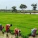 जलवायु परिवर्तन के दौर में क्यों महत्वपूर्ण है पीडीएमसी?