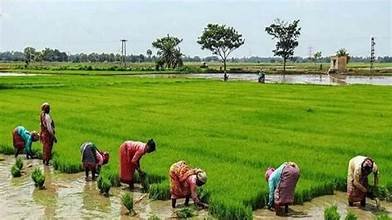 जलवायु परिवर्तन के दौर में क्यों महत्वपूर्ण है पीडीएमसी?