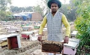 Tripura से Dubai पहुंचा पहली बार Mustard Honey, Dergang FPO ने किया 1 MT का Export; किसानों के लिए खुले अंतरराष्ट्रीय बाजार के रास्ते