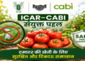 Vegetable Production में Sustainable Agriculture को बढ़ावा