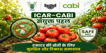 Vegetable Production में Sustainable Agriculture को बढ़ावा
