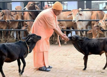 UP Gau Mitra Yojana