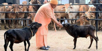 UP Gau Mitra Yojana