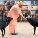UP Gau Mitra Yojana