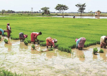 Women Agripreneurs