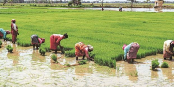 Women Agripreneurs