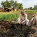 gobar-ki-khad-poshak-tatva-fertilizer.jpg