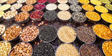Seed Minikit Programme