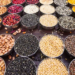 Seed Minikit Programme