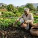 natural-farming-soil-health-india.jpg