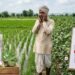कार्बोसल्फान कीटनाशक पर केंद्र सरकार के प्रस्तावित प्रतिबंध का किसानों पर असर