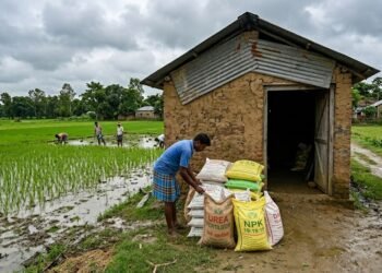 July में उर्वरक बिक्री में गिरावट के बीच खाद के स्टॉक के पास खड़ा भारतीय किसान