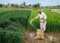 ज्यादा यूरिया के बड़े नुकसान!