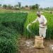 ज्यादा यूरिया के बड़े नुकसान!