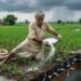 बारिश से पहले यूरिया डालना सही है या नहीं