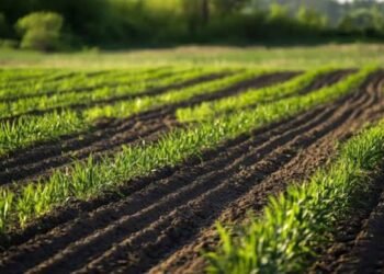 1 Acre Farming