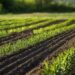 1 Acre Farming