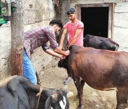 Lumpy skin disease situation under control in Delhi