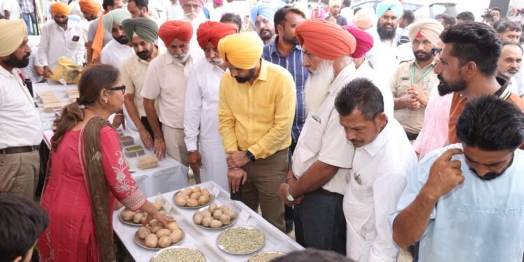 PAU के बठिंडा किसान मेले में वैज्ञानिक खेती और बढ़ी आमदनी का संदेश, किसानों को उन्नत तकनीकों को अपनाने पर जोर