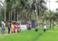 Field Day of High-Yielding Rice Varieties in Andaman, 43 Farmers Observe Advanced Cultivation Techniques