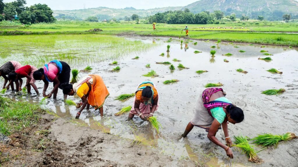 Agriculture Business Ideas