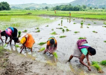 Agriculture Business Ideas