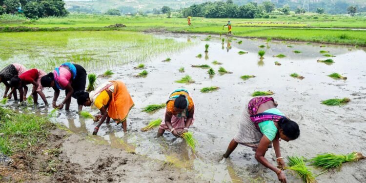 Agriculture Business Ideas