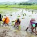 Agriculture Business Ideas