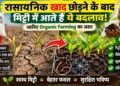 Chemical Fertilizer