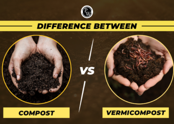 Compost vs Vermicompost