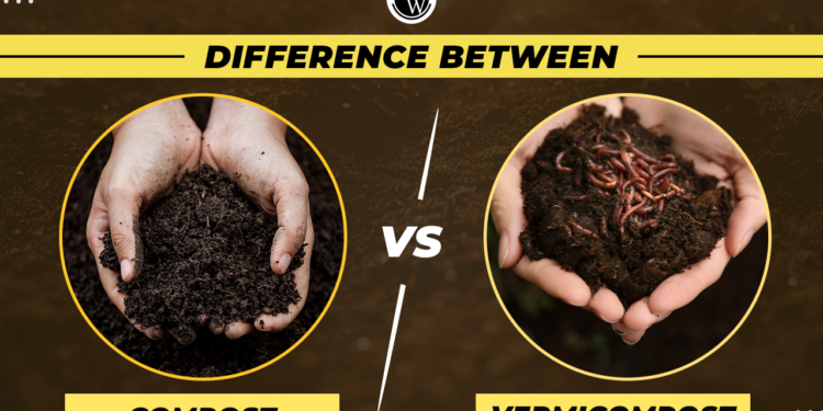 Compost vs Vermicompost