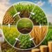 Crop Rotation